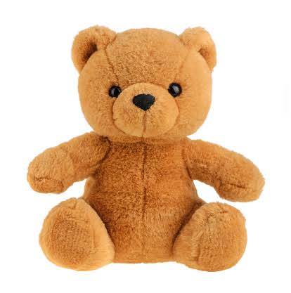 Teddy bear small size TheFlowers.PK