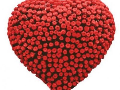 red Roses in heart shaped