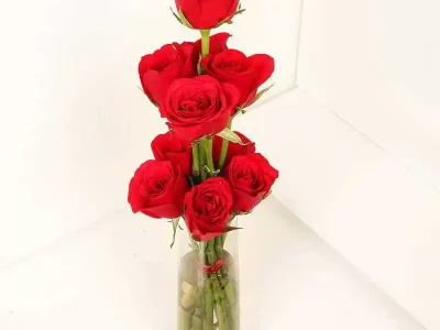 Red Roses with Glass Vase - Theflowers.pk