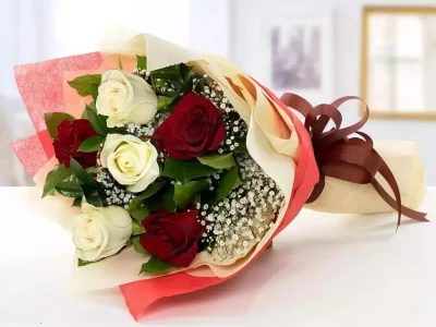 Red and White Roses - Theflowers.pk