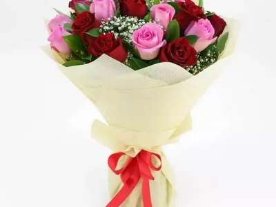 Featuring 20 red and pink South African Roses with Gypsophila - Theflowers.pk