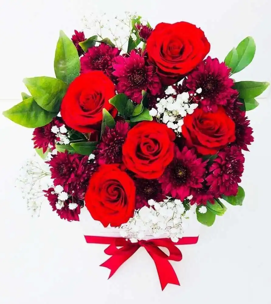 Red Roses, Imported purple chrysanthemum and Gypsophila