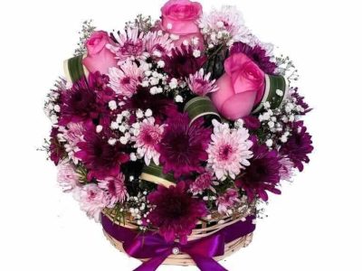 imported pink Roses, purple and pink chrysanthemum with baby's breath