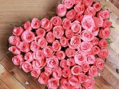 Heart Shape Roses