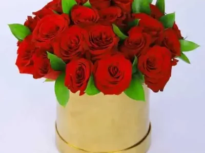 Red Roses